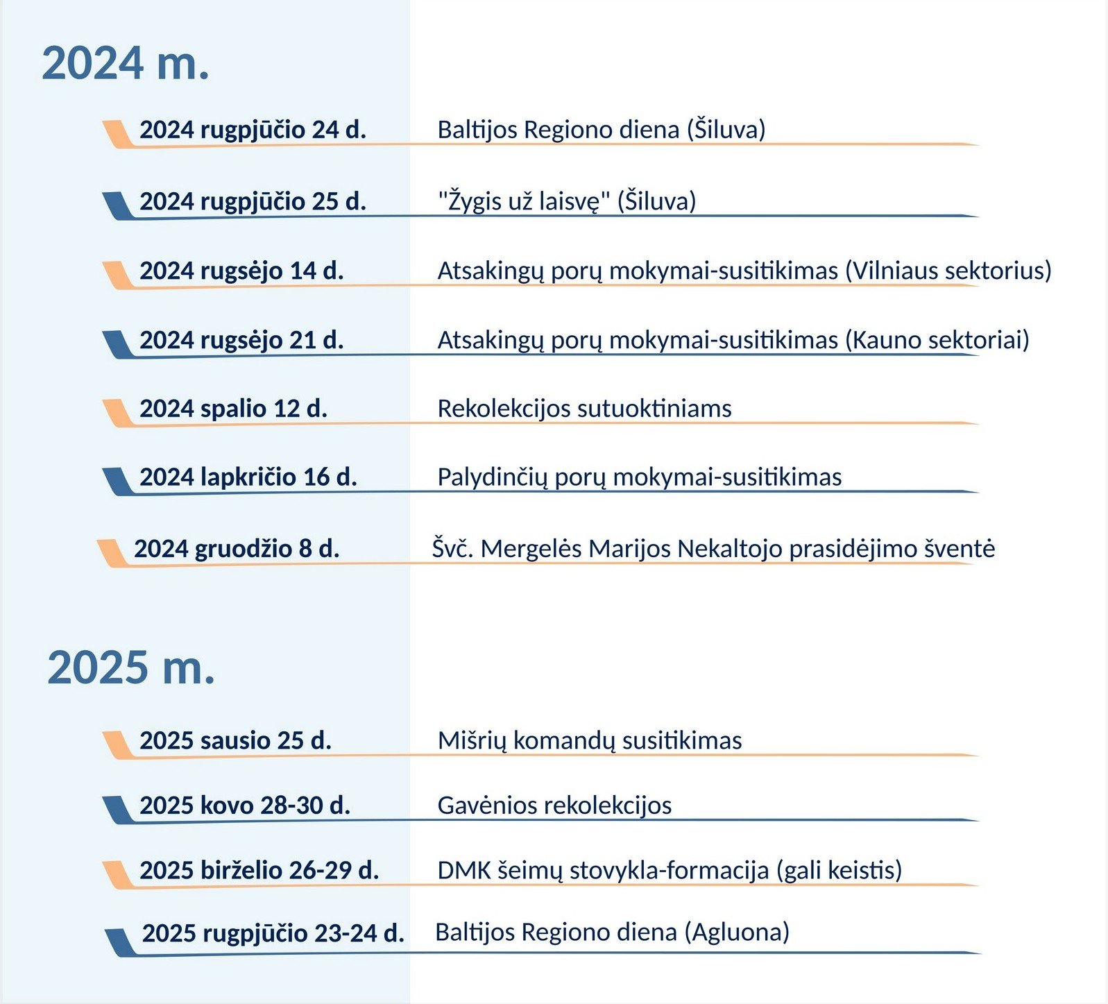 DMK-2025-Metinė programa